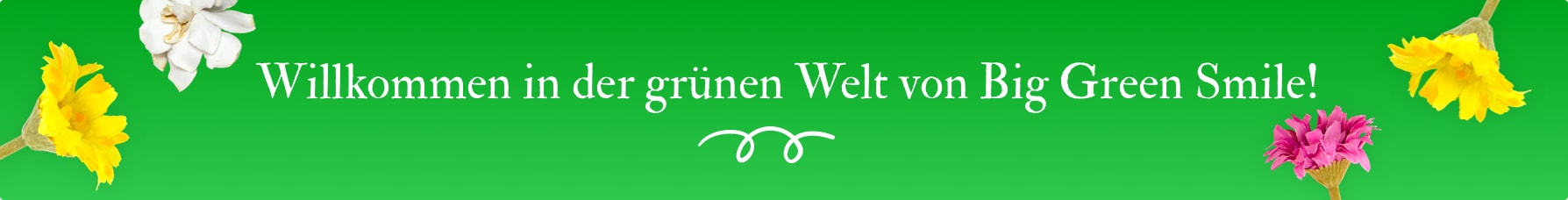 Über uns Über uns