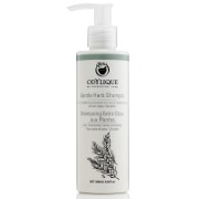 Odylique by Essential Care Gentle Herb Shampoo - Mildes Kräuter Shampoo 200ml