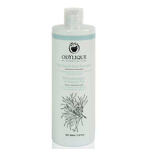 Odylique by Essential Care Tea Tree & Herb Shampoo - Mildes Teebaumöl Shampoo 500ml
