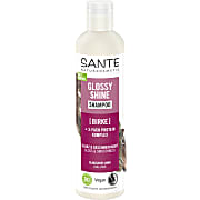 Sante Family Glanz Shampoo Bio Birkenblatt