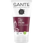 Sante Family Glanz Spülung Bio-Birkenblatt & Provitamin B5 150ml