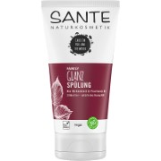 Sante Family Glanz Haarspülung Bio-Birkenblatt & Provitamin B 5