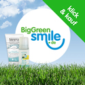 Big Green Smile Logo